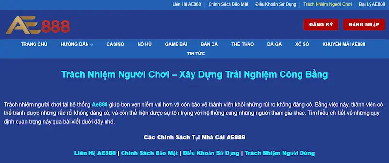 trach-nhiem-ngươi-choi-3